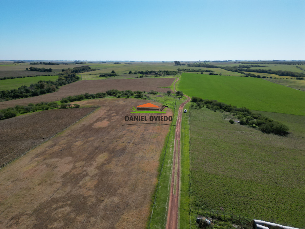 Campo Ref.381/Campo-agr - Campo agrícola en venta en zona de Víboras, Colonia.