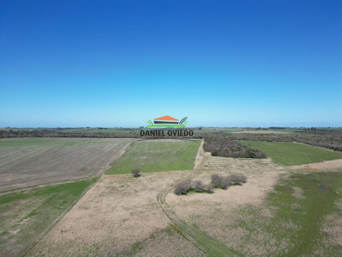 Campo Ref.243/Campo-agrícola-ganadero-en-venta-con-costa-de-arroyo. - Campo agrícola ganadero en venta con costa de arroyo.