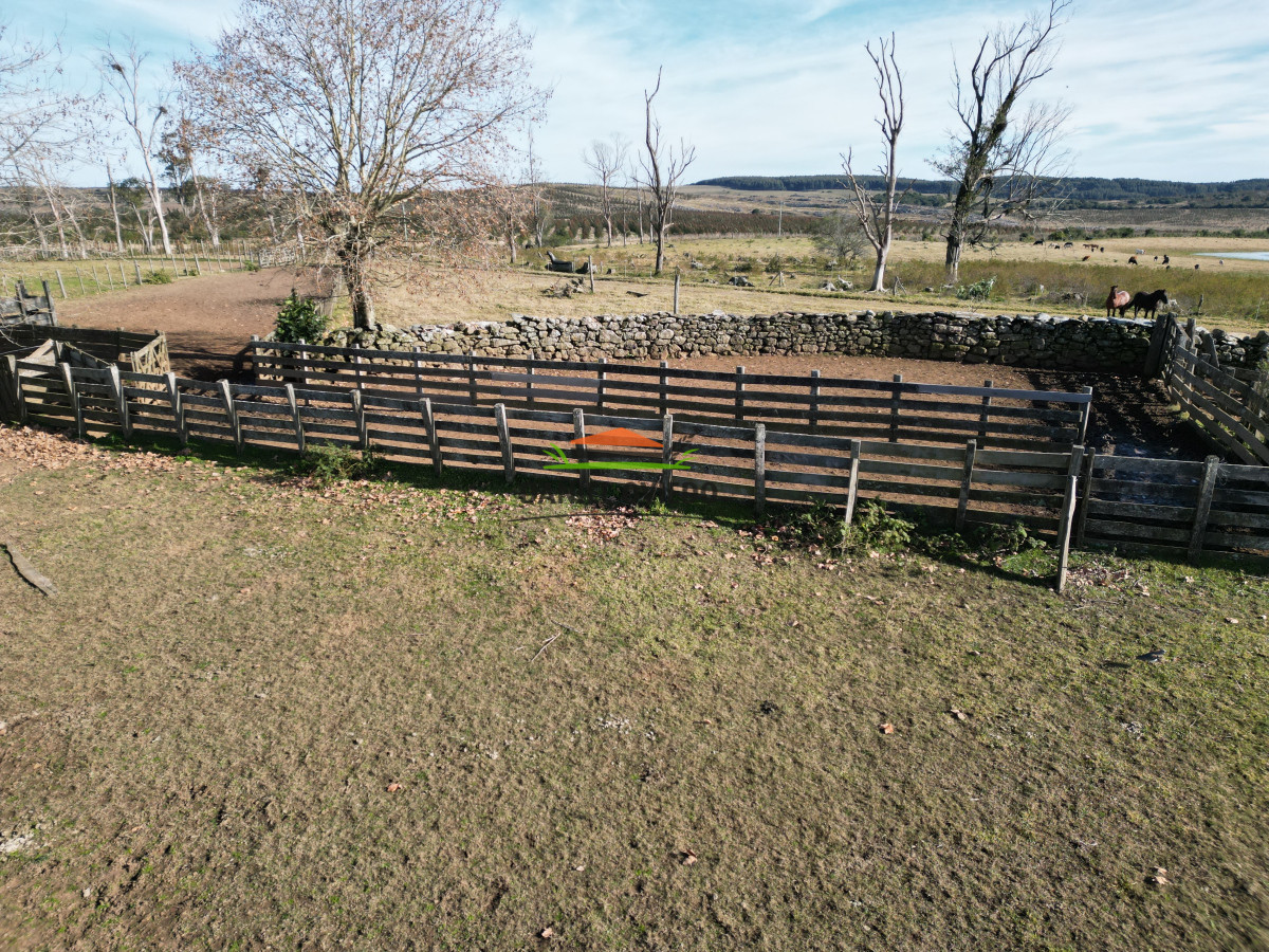 Campo Ref.210/Estancia-ganadera-completa-en-venta-de-2.956-has-en-Cerro-Largo. - Estancia ganadera completa en venta de 2.956 has en Cerro Largo.
