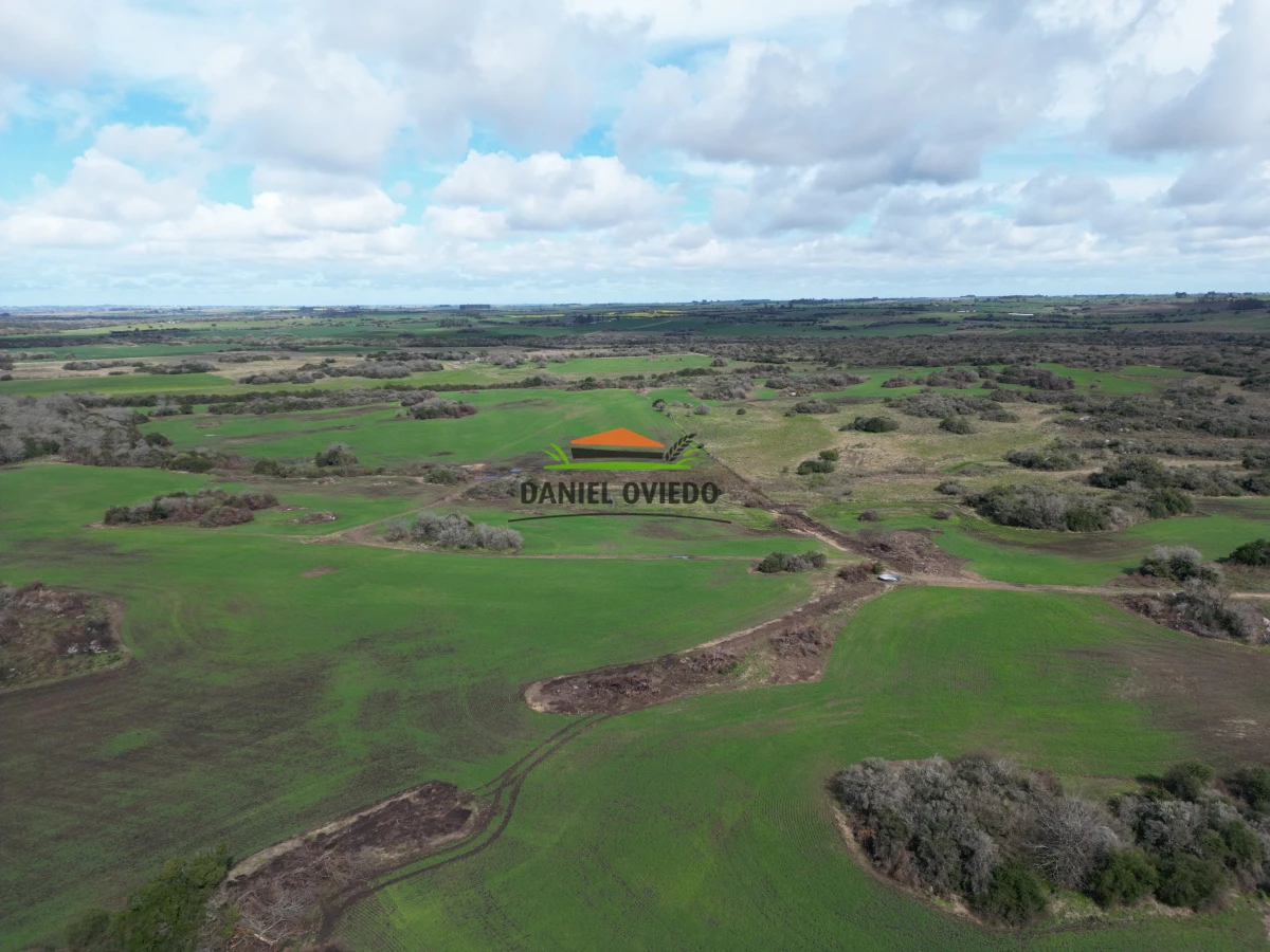 Campo Ref.249/Buen-campo-ganadero-en-venta-ideal-para-engorde. - Buen campo ganadero en venta ideal para engorde.