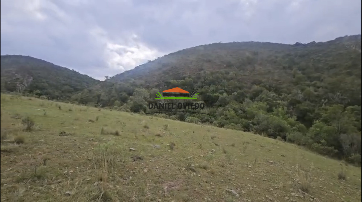 Campo Ref.350/Oportunidad-buen-campo-ganadero-en-venta-con-excelentes-vistas. - Oportunidad buen campo ganadero en venta con excelentes vistas.