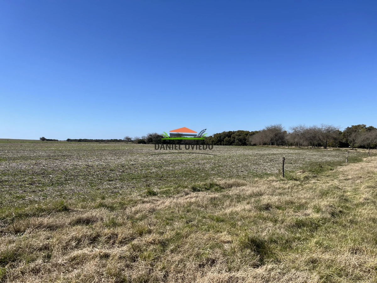 Campo Ref.243/Campo-agrícola-ganadero-en-venta-con-costa-de-arroyo. - Campo agrícola ganadero en venta con costa de arroyo.