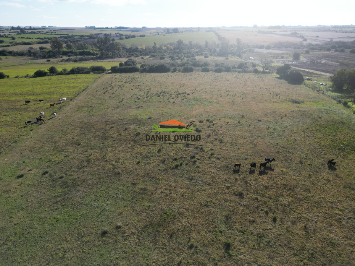Campo Ref.208 - Campo agrícola ganadero de 20,95 has en Miguelete de Campana.
