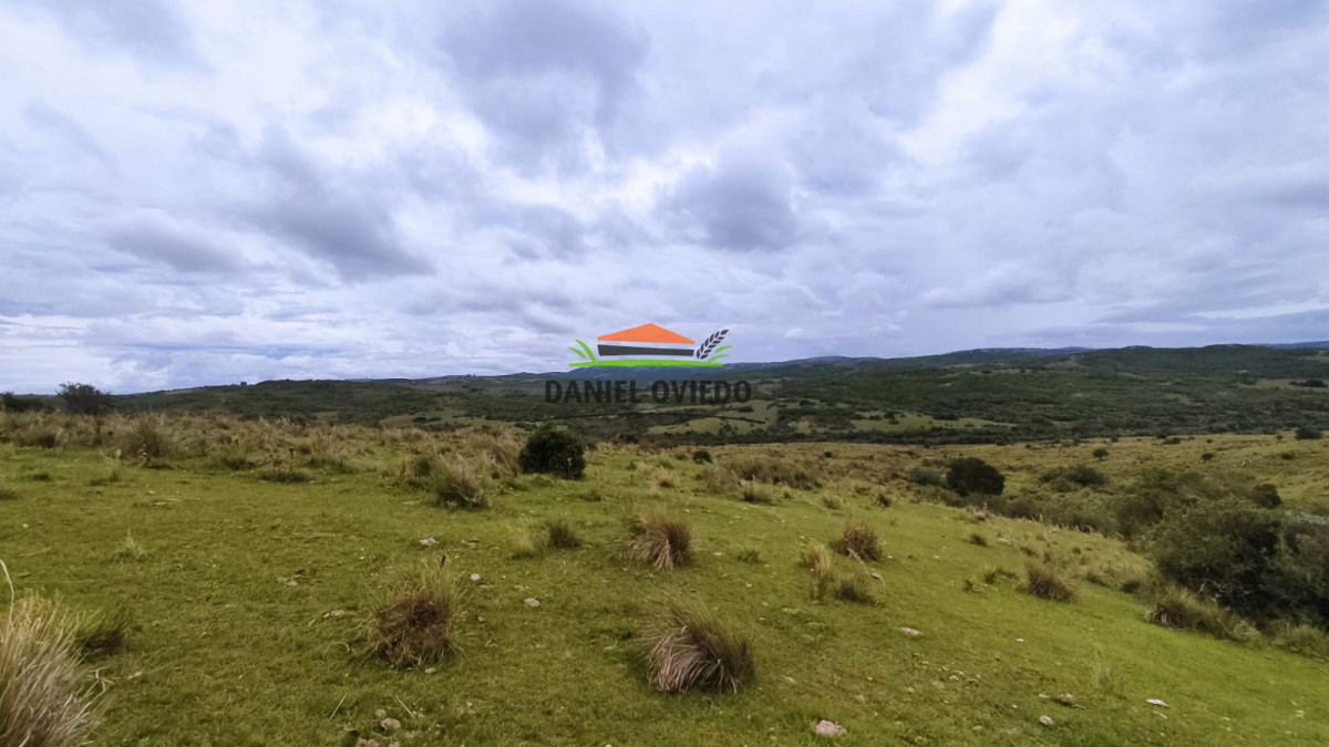 Campo Ref.364/39-has-en-venta-con-costa-de-arroyo-en-sierras-de-Garzón - 39 has en venta con costa de arroyo en sierras de Garzón