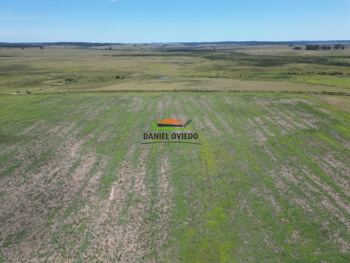 Campo Ref.359/Estancia-de-945-has-en-venta-en-Cerro-Largo. - Estancia de 945 has en venta en Cerro Largo.