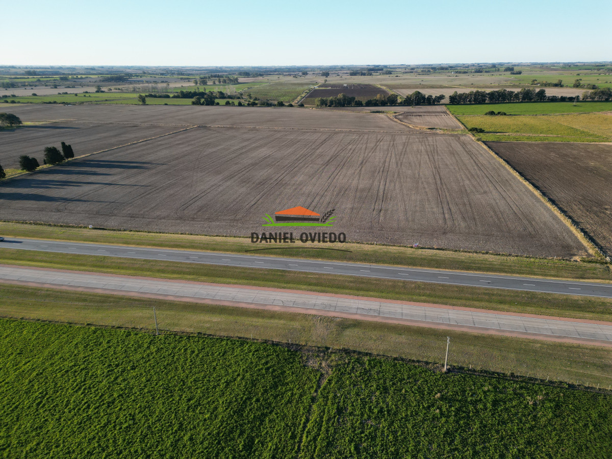Campo Ref.209 - Excepcional ubicación en ruta 1 y campo productivo donde nadie vende.