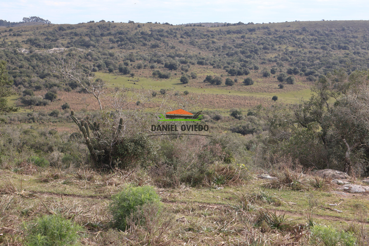 Campo Ref.212 - Estancia El Parao 811 has, en venta en Treinta y Tres.