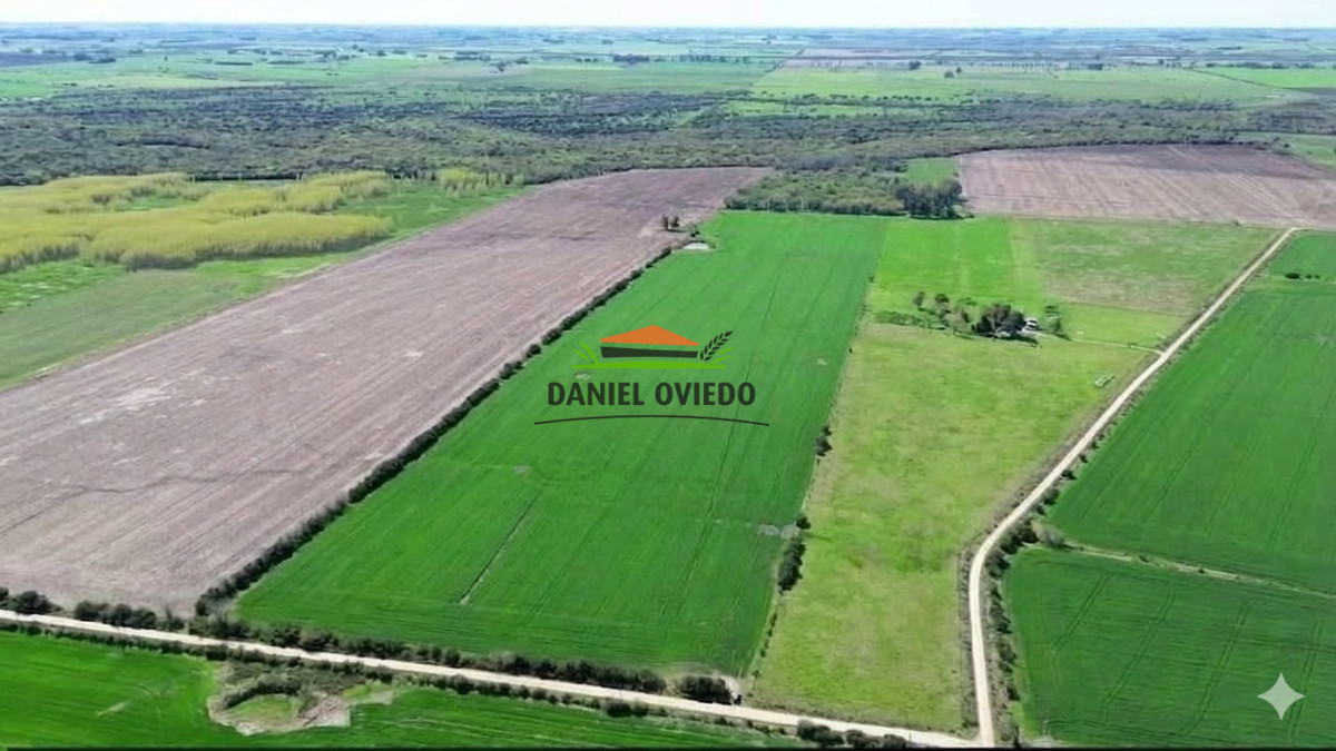 Campo Ref.413/🌾- - 🌾 ¡NUEVA OPORTUNIDAD DE INVERSIÓN AGRÍCOLA EN SAN JOSÉ! 🚜