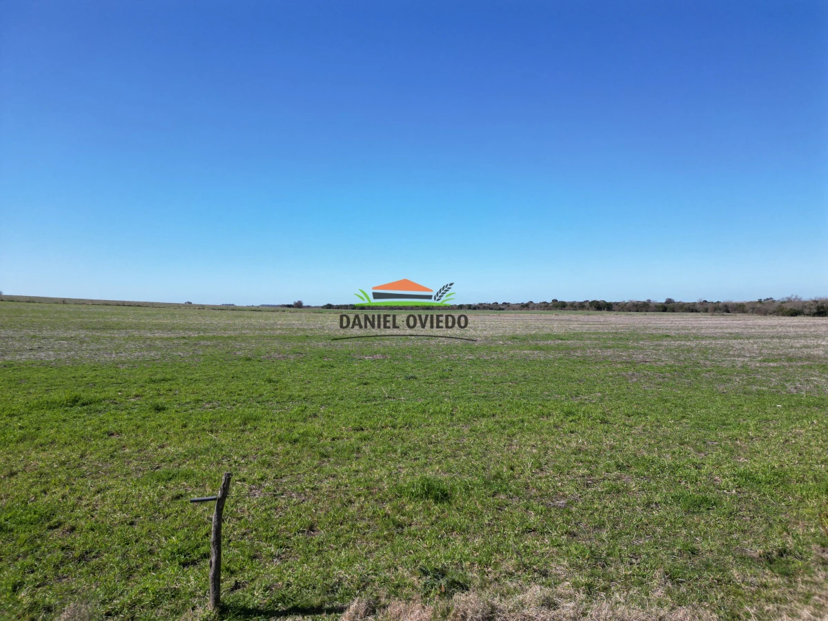 Campo Ref.244/Excelente-campo-agr - Excelente campo agrícola en venta en Víboras, Carmelo.