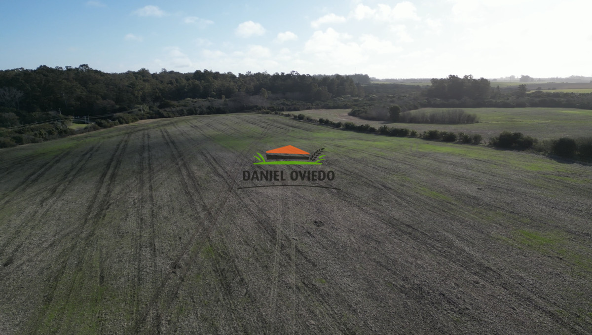Campo Ref.235/Campo-agrícola-de-23.8-has-próximo-a-balneario-Artilleros. - Campo agrícola de 23.8 has próximo a balneario Artilleros.