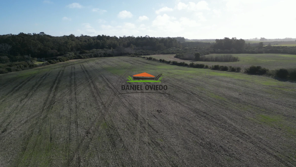 Campo Ref.235/Campo-agr - Campo agrícola de 23.8 has próximo a balneario Artilleros.