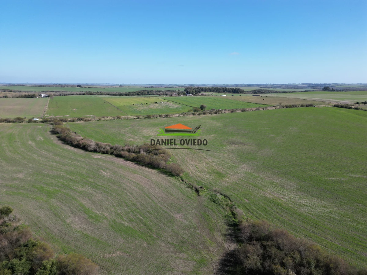 Campo Ref.244/Excelente-campo-agr - Excelente campo agrícola en venta en Víboras, Carmelo.