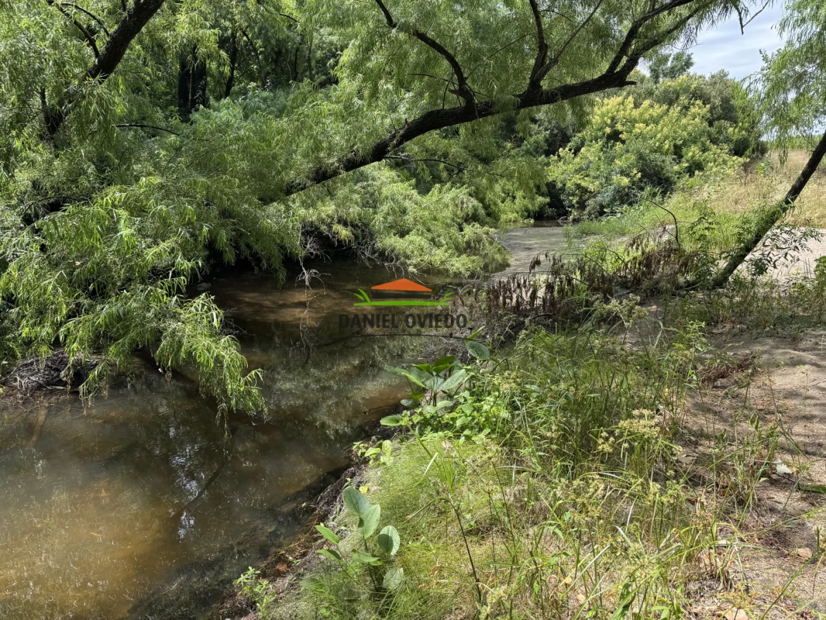 Campo Ref.336/Campo-agr - Campo agrícola de 18,9 hás con renta anual - Nueva Helvecia