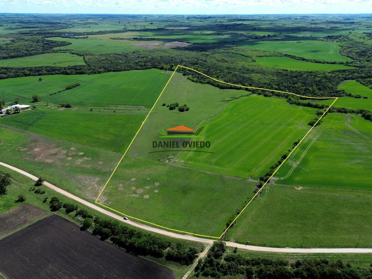 Campo Ref.336/Campo-agr - Campo agrícola de 18,9 hás con renta anual - Nueva Helvecia