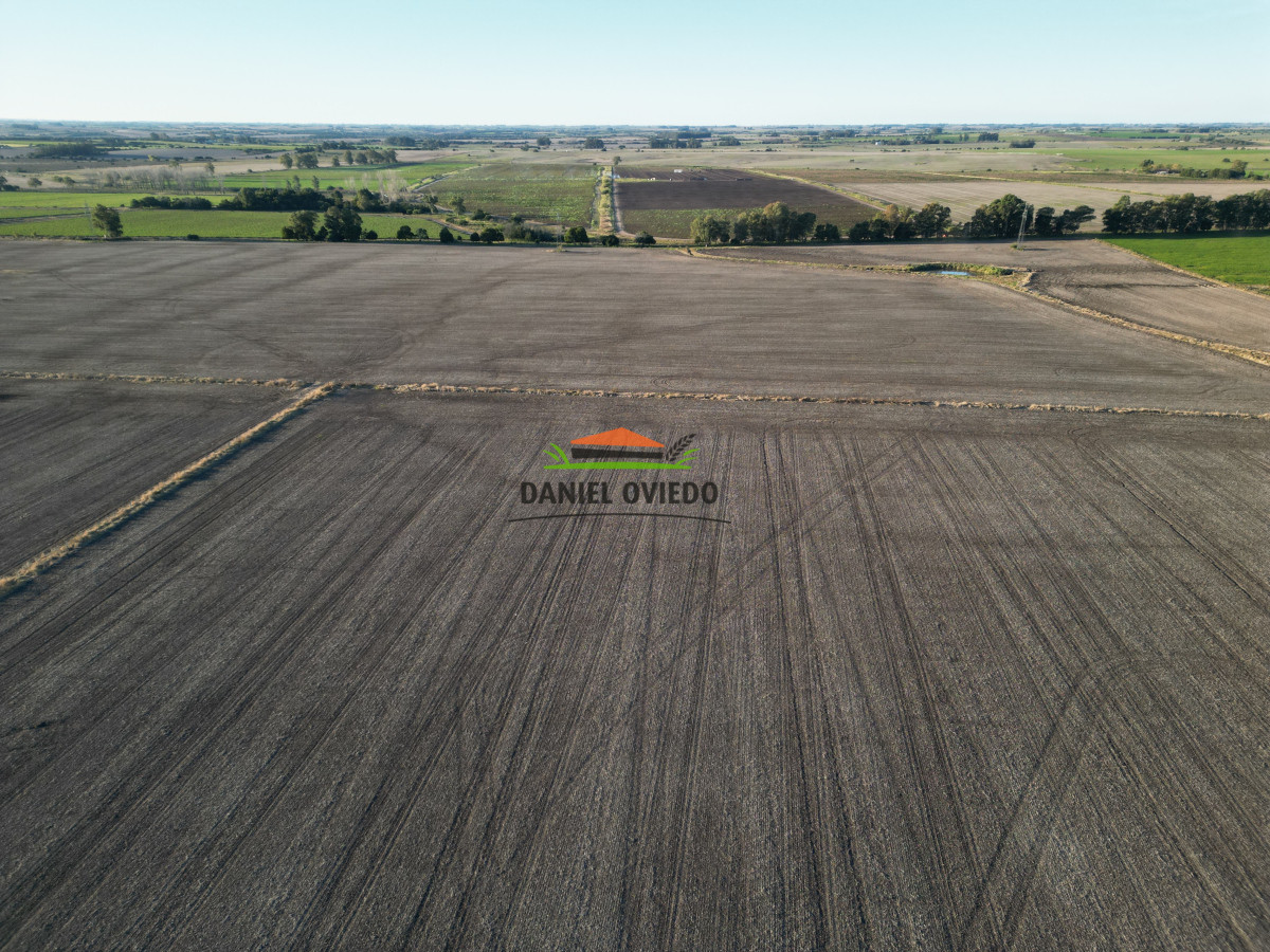Campo Ref.209 - Excepcional ubicación en ruta 1 y campo productivo donde nadie vende.