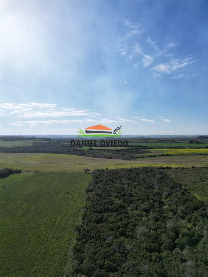 Campo Ref.414/ - ¡Nueva oportunidad rural proxima a Conchillas!