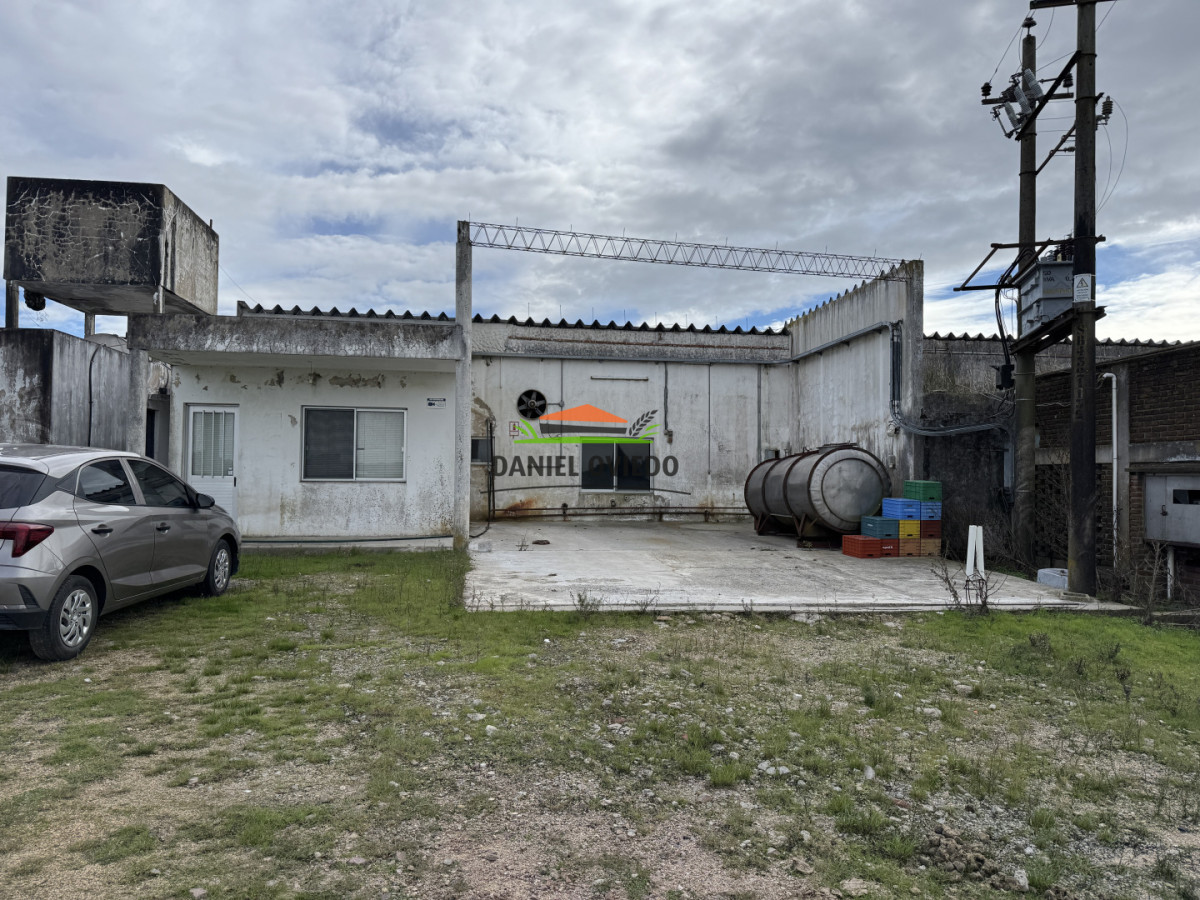 Campo Ref.377/Establecimiento-con-f - Establecimiento con fábrica y 33 Hás de campo - Instalaciones y equipamiento incluidos | Colonia