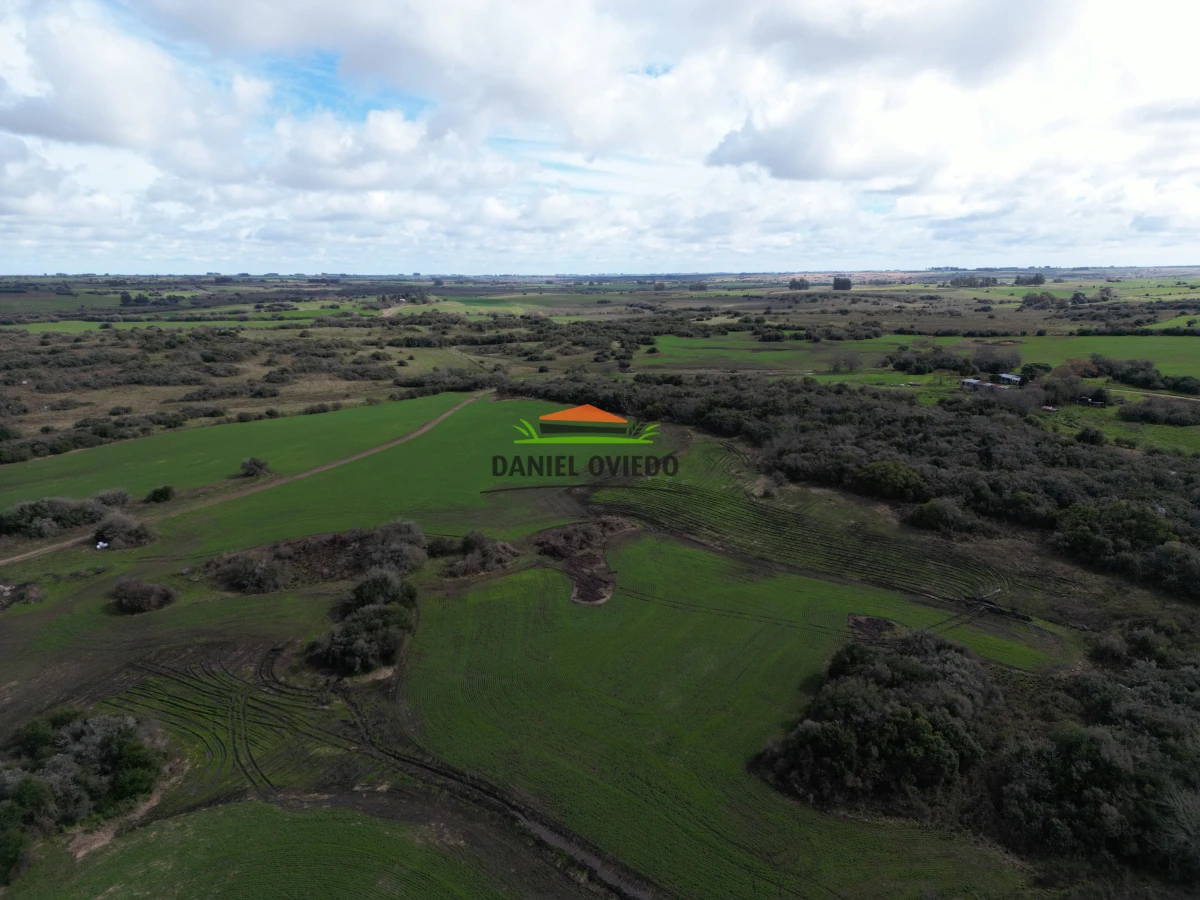 Campo Ref.249/Buen-campo-ganadero-en-venta-ideal-para-engorde. - Buen campo ganadero en venta ideal para engorde.