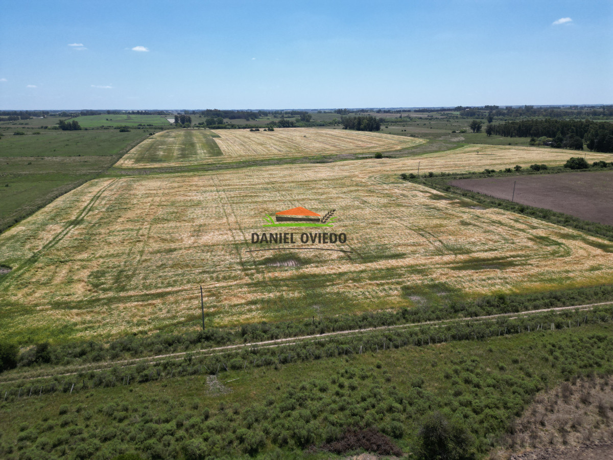 Campo Ref.143 - Oportunidad de inversión, campo agrícola en venta en Canelones.