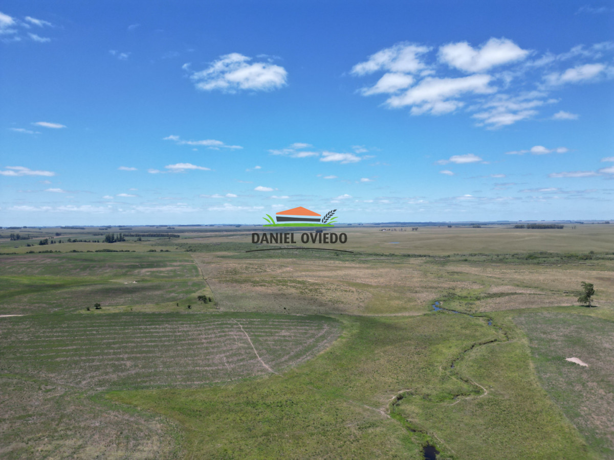 Campo Ref.359/Estancia-de-945-has-en-venta-en-Cerro-Largo. - Estancia de 945 has en venta en Cerro Largo.