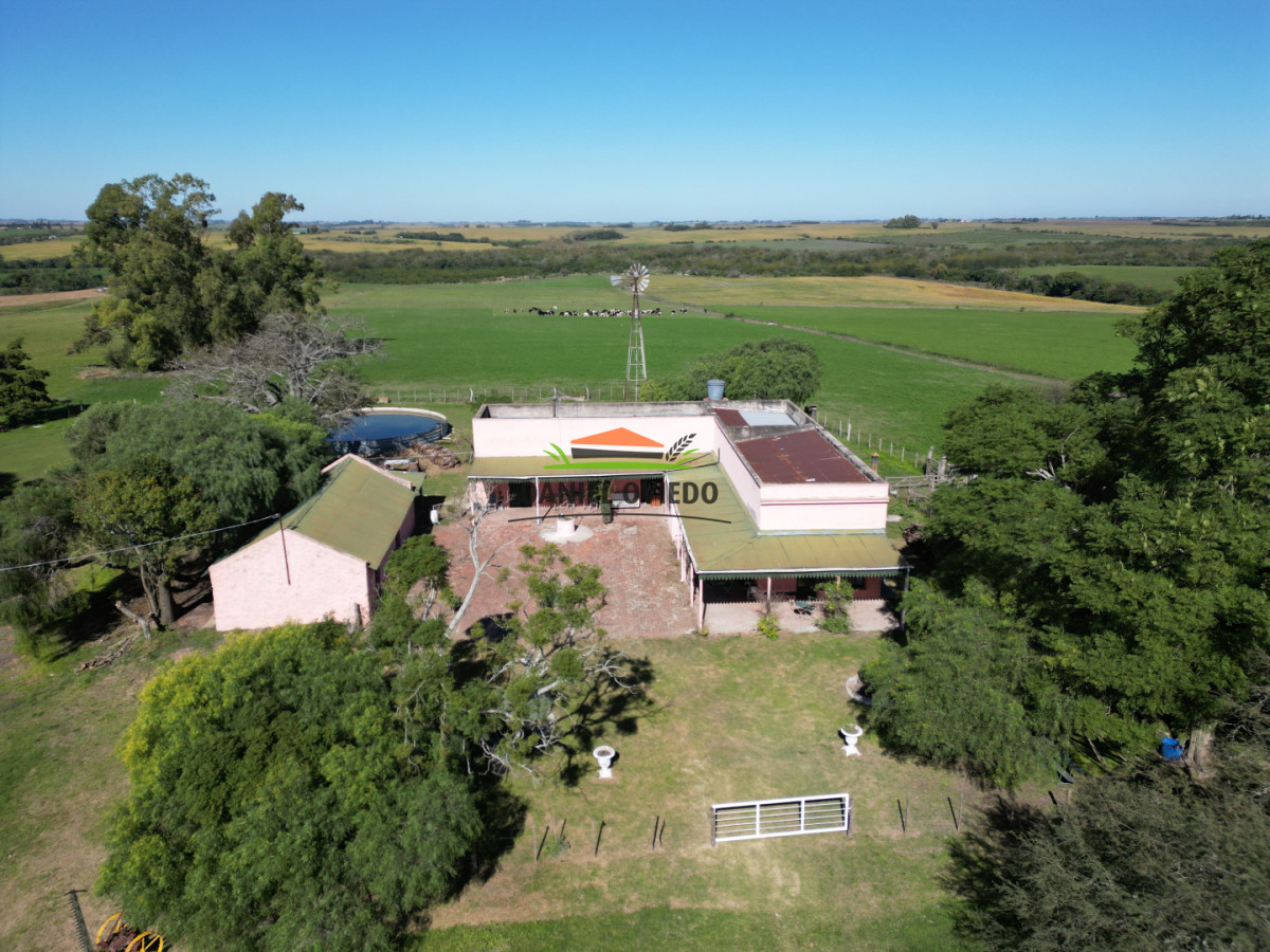 Campo Ref.381/Campo-agr - Campo agrícola en venta en zona de Víboras, Colonia.