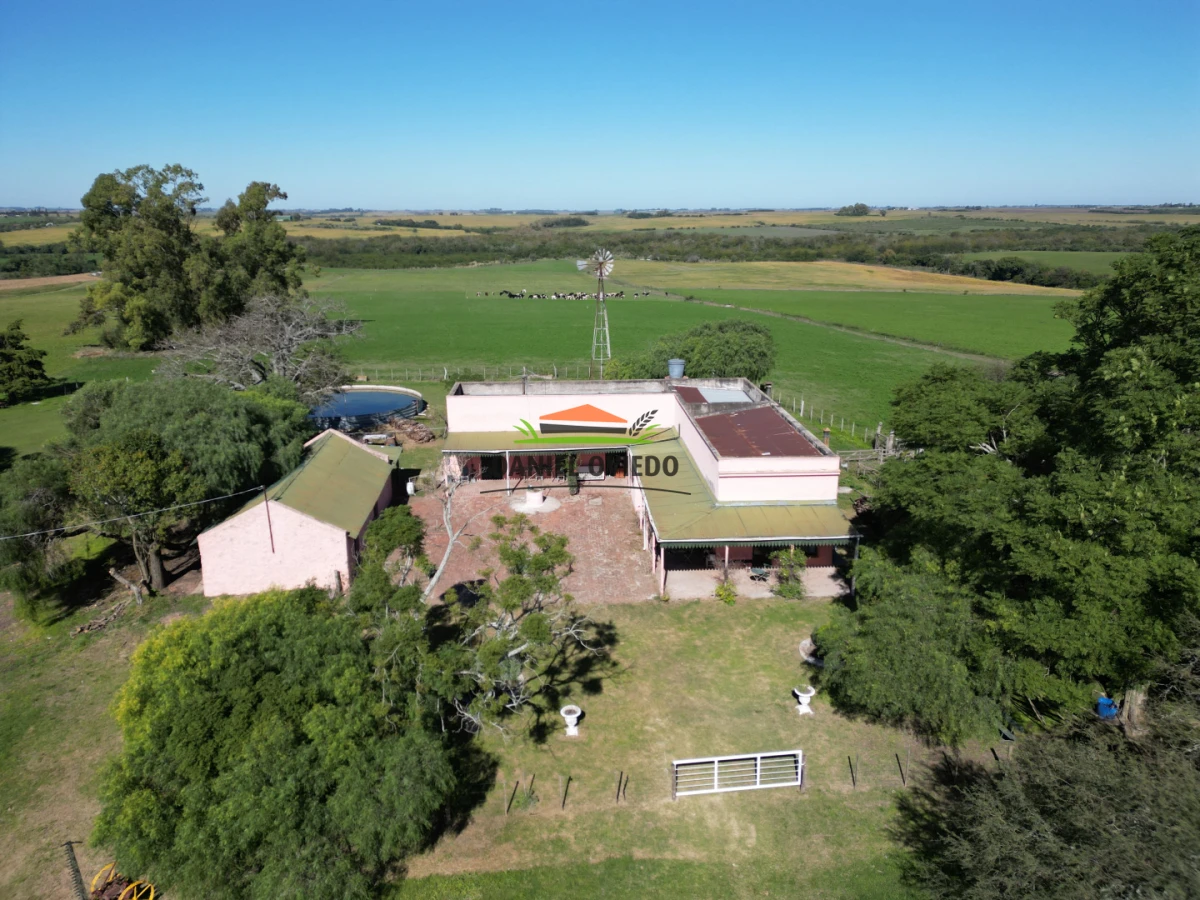Campo Ref.381/Campo-agr - Campo agrícola en venta en zona de Víboras, Colonia.