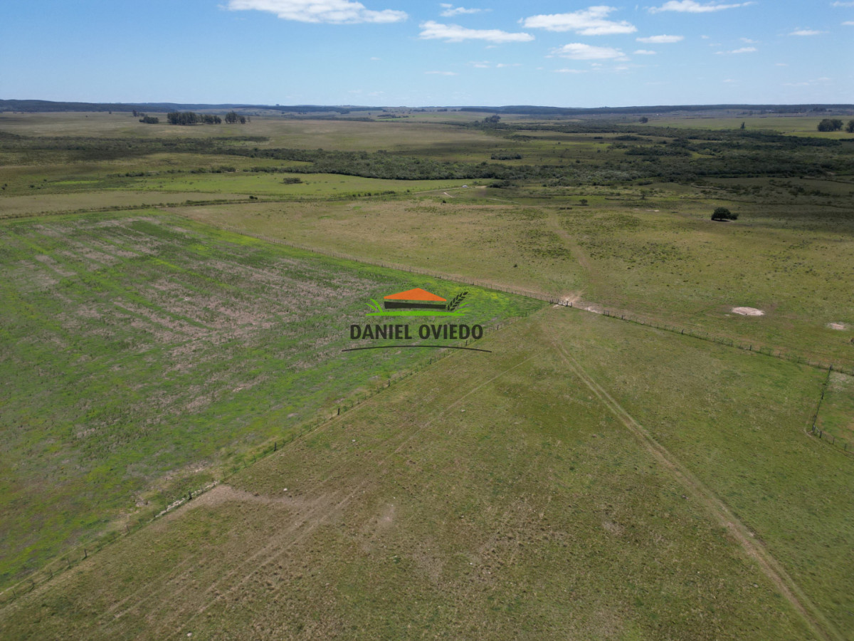 Campo Ref.359/Estancia-de-945-has-en-venta-en-Cerro-Largo. - Estancia de 945 has en venta en Cerro Largo.