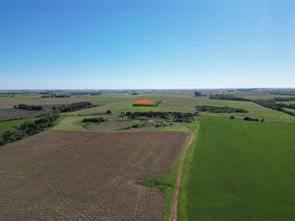 Campo Ref.381/Campo-agr - Campo agrícola en venta en zona de Víboras, Colonia.
