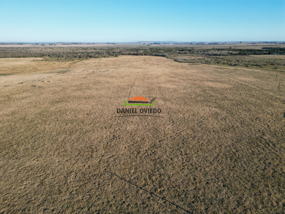 Campo Ref.223/Establecimiento-de-760-hás-en-venta-en-Cerro-Largo. - Establecimiento de 760 hás en venta en Cerro Largo.