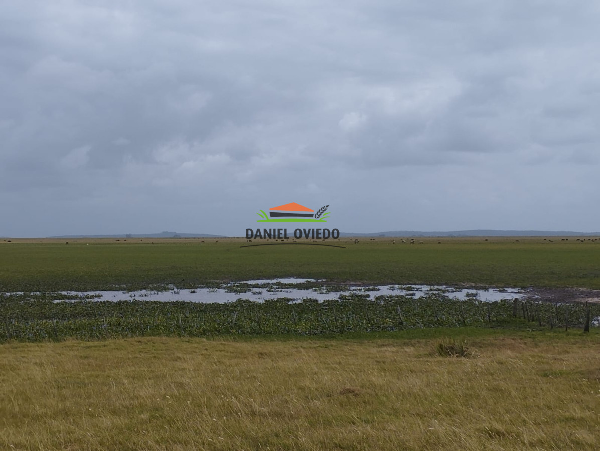 Campo Ref.306/Buen-campo-ganadero-en-venta-La-Coronilla,-Rocha. - Buen campo ganadero en venta La Coronilla, Rocha.