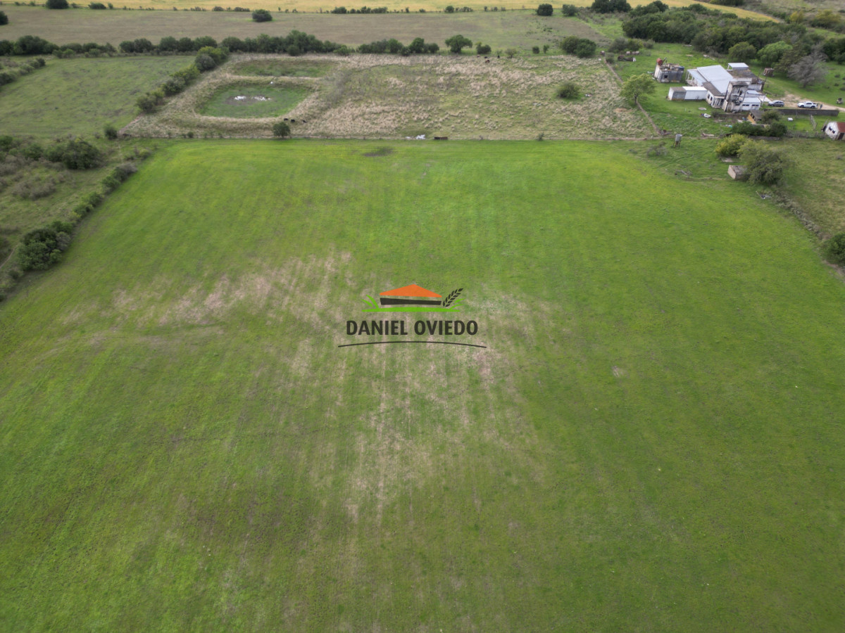 Campo Ref.377/Establecimiento-con-f - Establecimiento con fábrica y 33 Hás de campo - Instalaciones y equipamiento incluidos | Colonia
