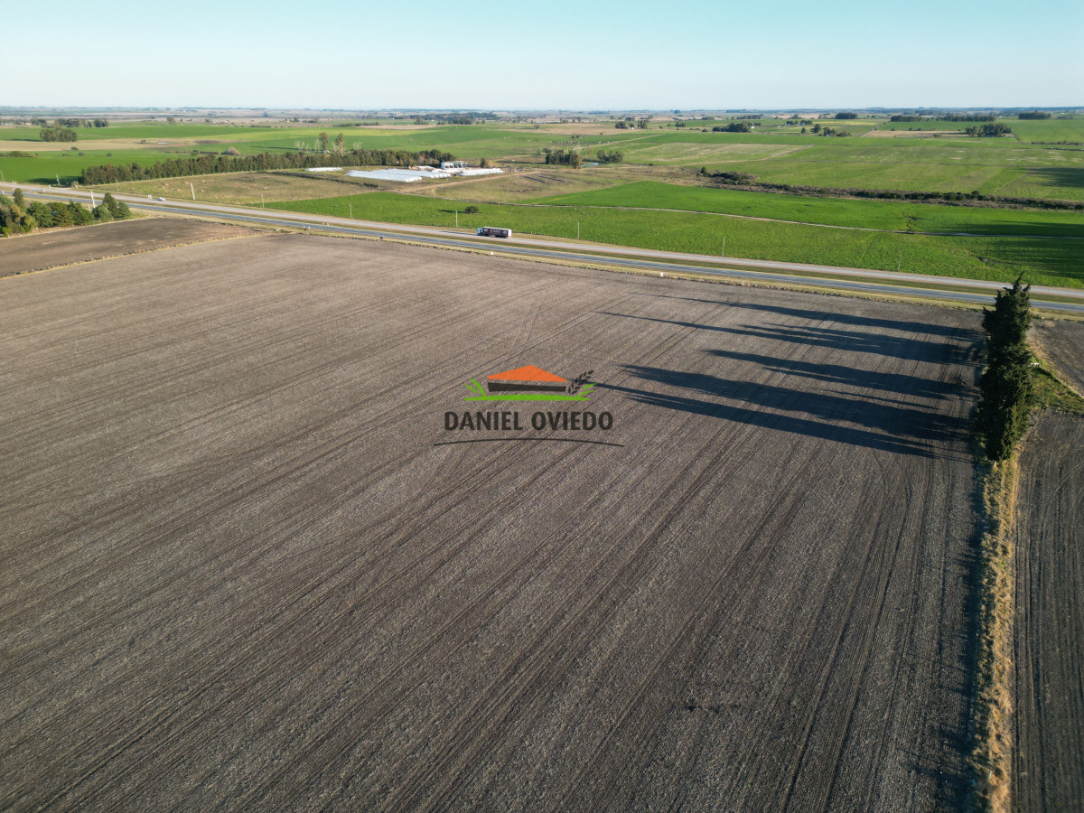Campo Ref.207 - Excelente campo agrícola en venta en ruta 1, San José.