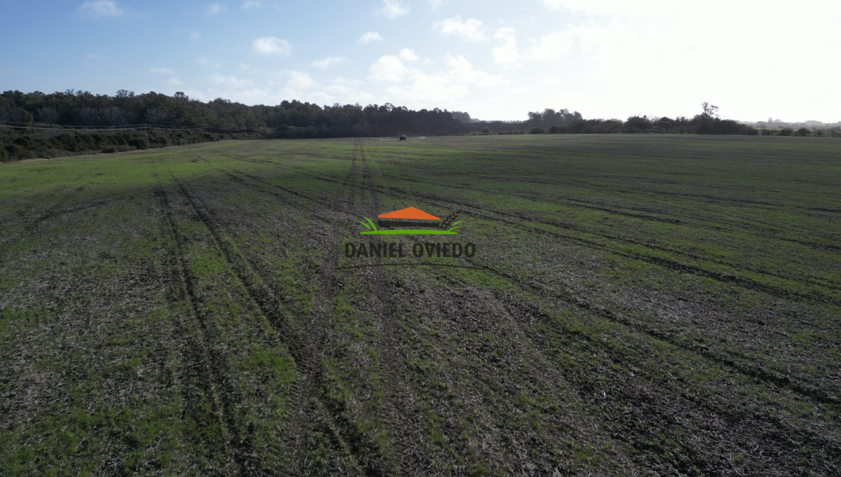 Campo Ref.235/Campo-agrícola-de-23.8-has-próximo-a-balneario-Artilleros. - Campo agrícola de 23.8 has próximo a balneario Artilleros.