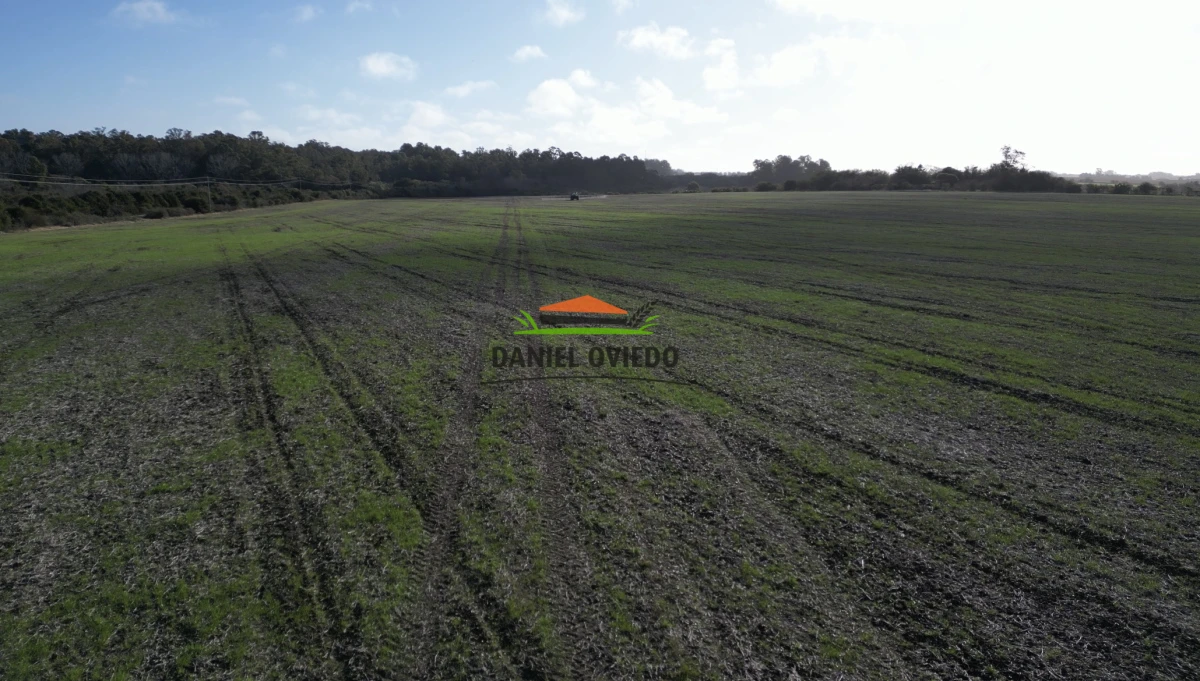Campo Ref.235/Campo-agr - Campo agrícola de 23.8 has próximo a balneario Artilleros.