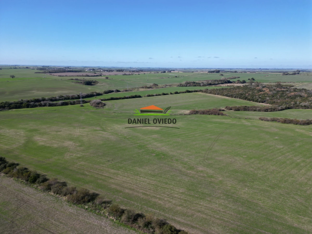 Campo Ref.244/Excelente-campo-agr - Excelente campo agrícola en venta en Víboras, Carmelo.