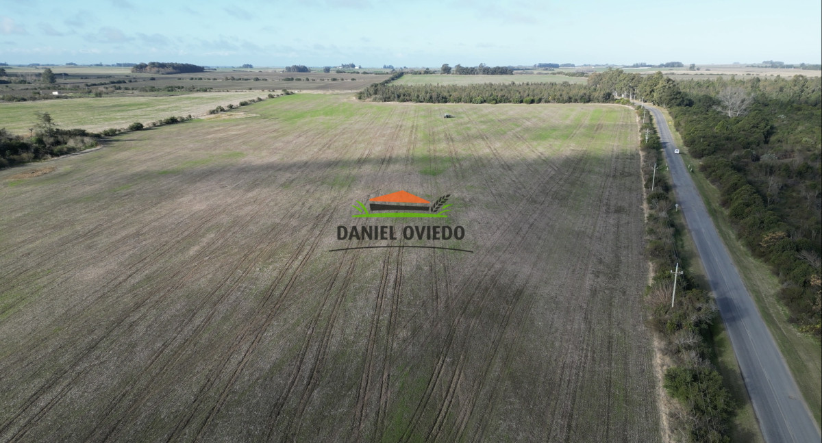Campo Ref.235/Campo-agrícola-de-23.8-has-próximo-a-balneario-Artilleros. - Campo agrícola de 23.8 has próximo a balneario Artilleros.