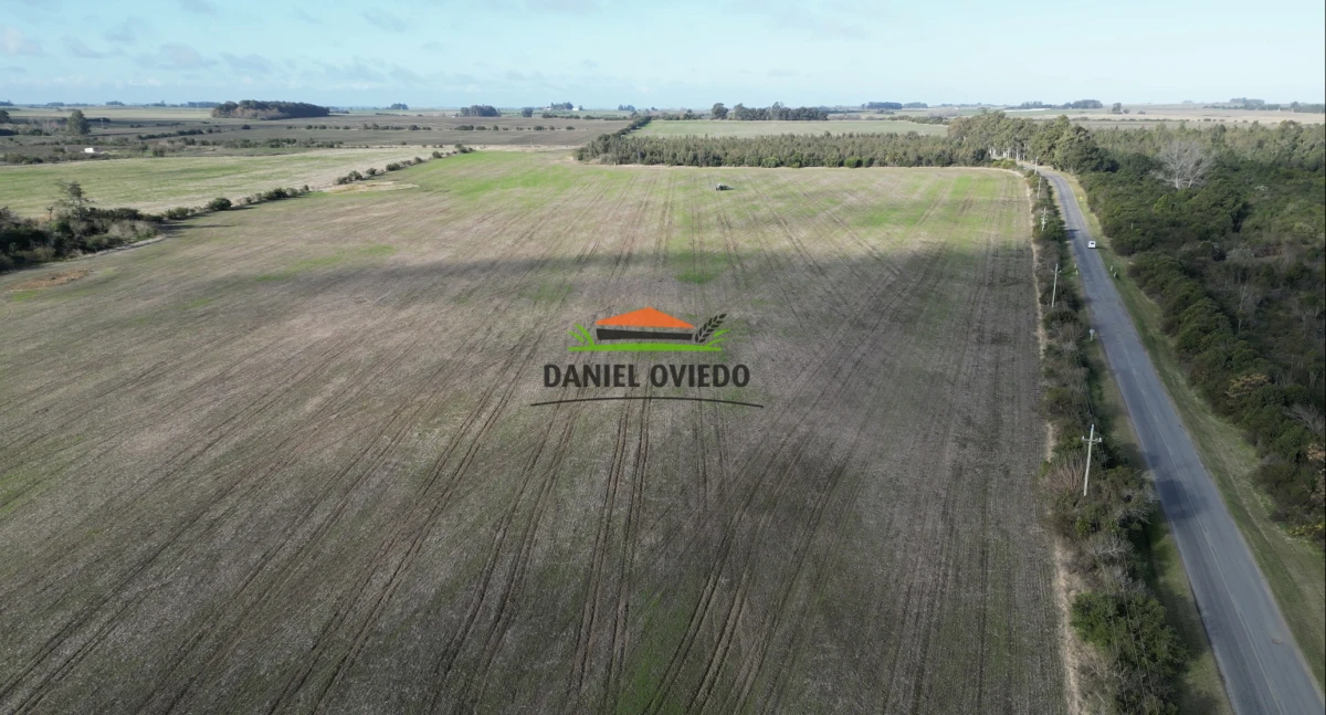 Campo Ref.235/Campo-agr - Campo agrícola de 23.8 has próximo a balneario Artilleros.