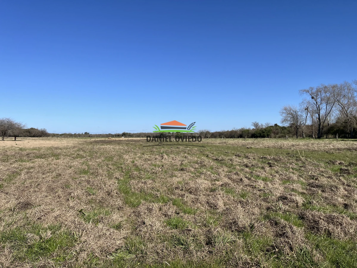 Campo Ref.243/Campo-agrícola-ganadero-en-venta-con-costa-de-arroyo. - Campo agrícola ganadero en venta con costa de arroyo.