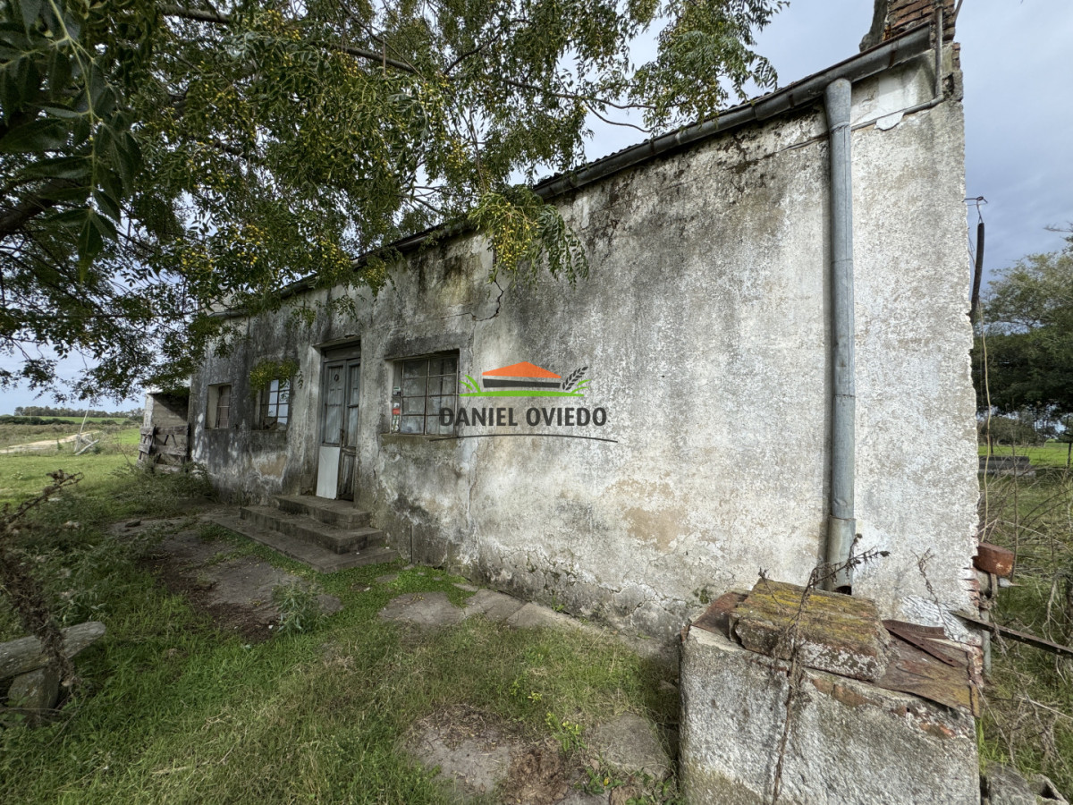 Campo Ref.377/Establecimiento-con-f - Establecimiento con fábrica y 33 Hás de campo - Instalaciones y equipamiento incluidos | Colonia