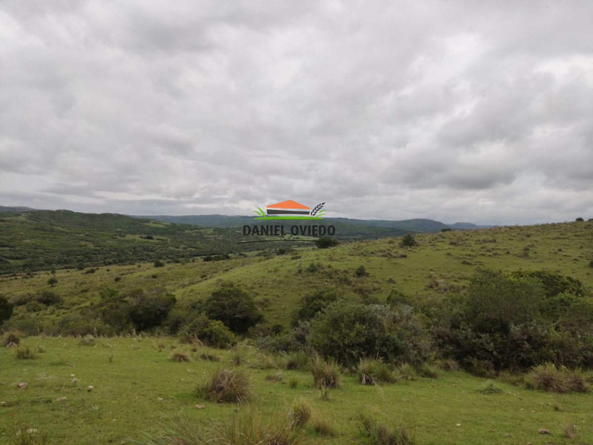 Campo Ref.364/39-has-en-venta-con-costa-de-arroyo-en-sierras-de-Garzón - 39 has en venta con costa de arroyo en sierras de Garzón