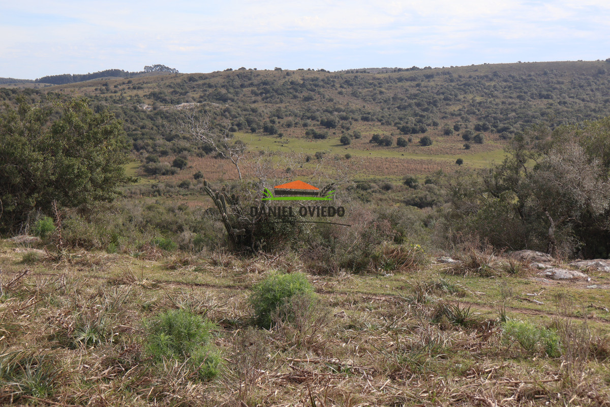 Campo Ref.210 - Estancia ganadera completa en venta de 3.000 has en Cerro Largo.