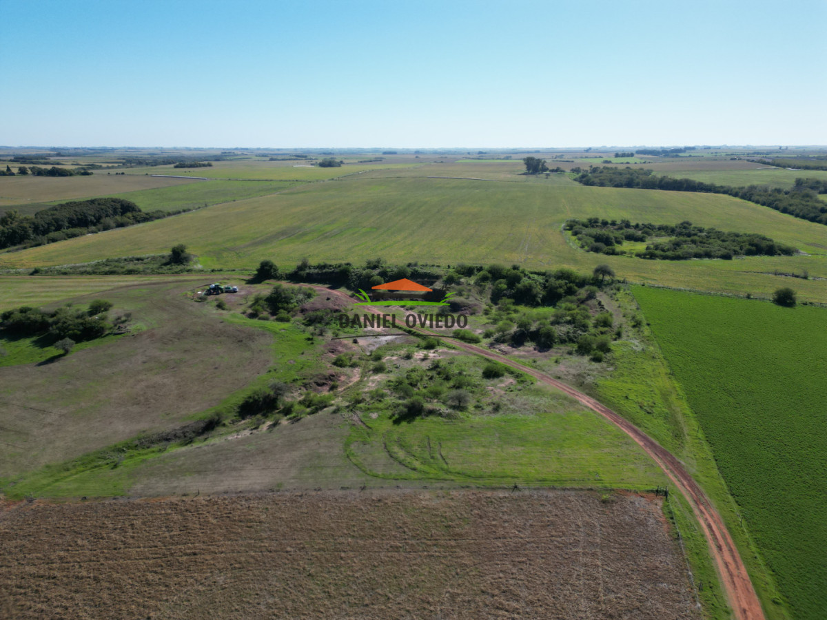 Campo Ref.381/Campo-agr - Campo agrícola en venta en zona de Víboras, Colonia.