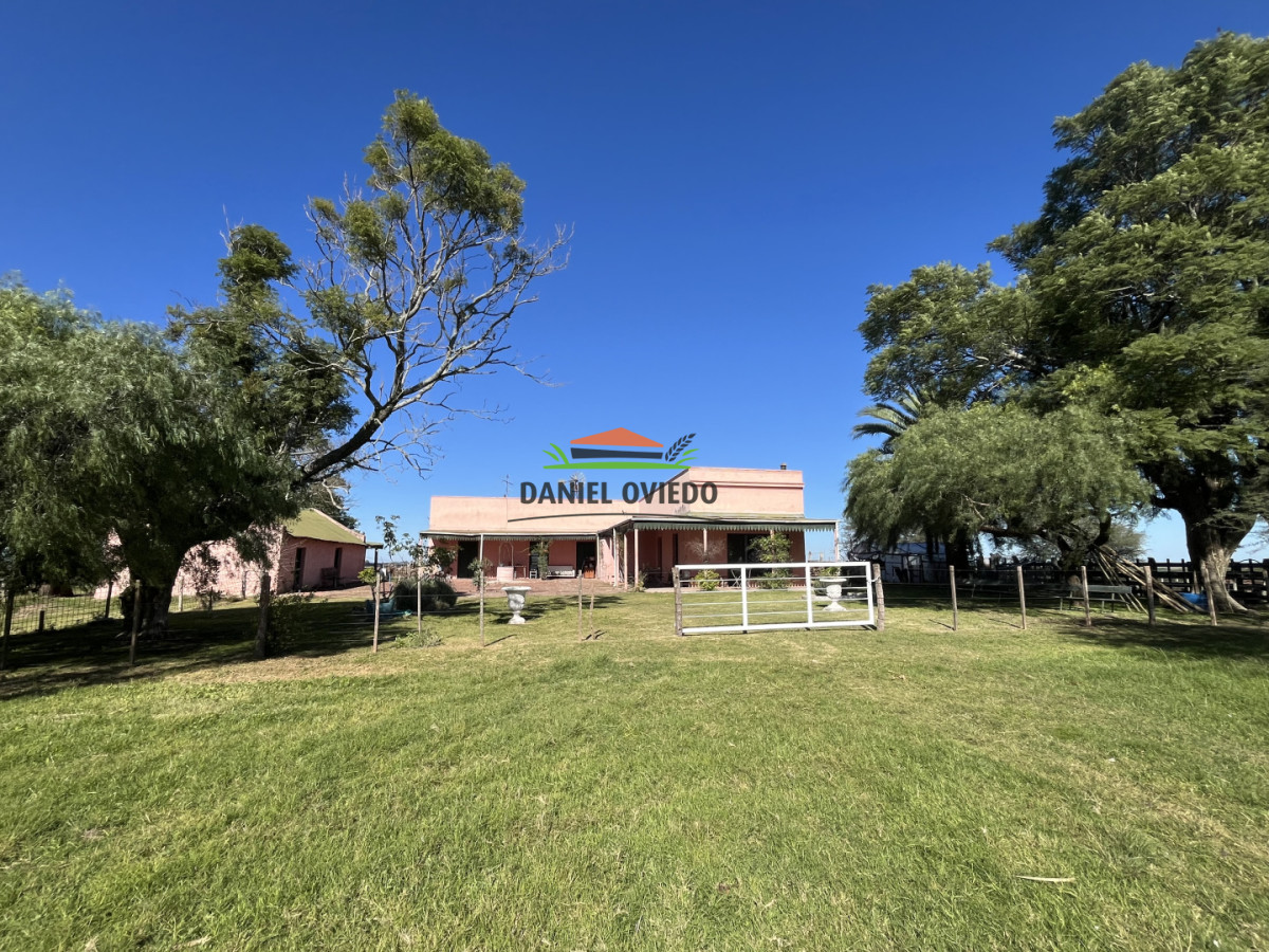 Campo Ref.381/Campo-agr - Campo agrícola en venta en zona de Víboras, Colonia.