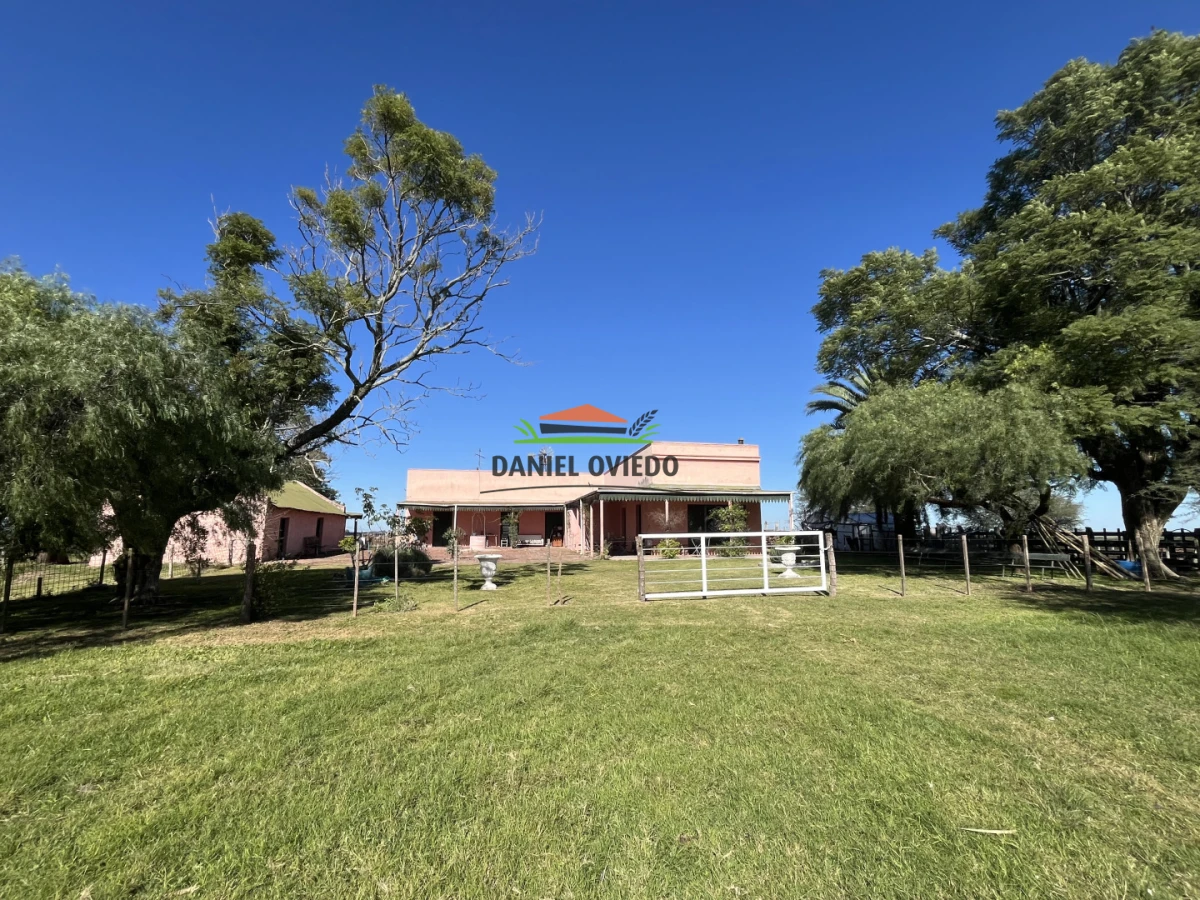Campo Ref.381/Campo-agr - Campo agrícola en venta en zona de Víboras, Colonia.