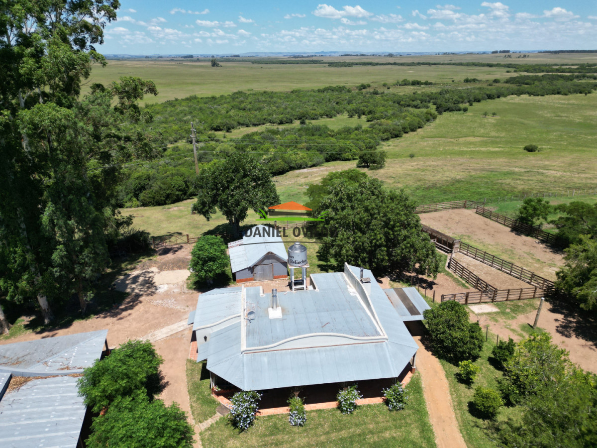 Campo Ref.357/Muy-buen-establecimiento-completo-en-venta-en-ruta-26-proximo-a-Melo. - Muy buen establecimiento completo en venta en ruta 26 proximo a Melo.