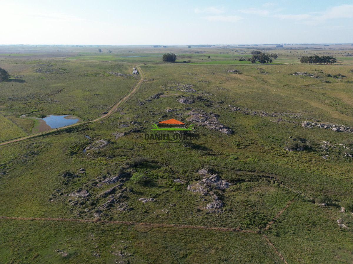 Campo Ref.201/Establecimiento-completo-de-400-h - Establecimiento completo de 400 hás en venta en Flores.