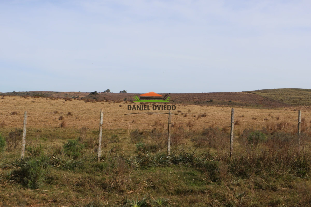 Campo Ref.210/Estancia-ganadera-completa-en-venta-de-2.956-has-en-Cerro-Largo. - Estancia ganadera completa en venta de 2.956 has en Cerro Largo.