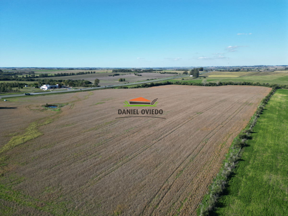 Campo Ref.383/22-Hect - 22 Hectáreas Agrícolas sobre Ruta 1 | Excelente Ubicación y Muy Buenos Suelos