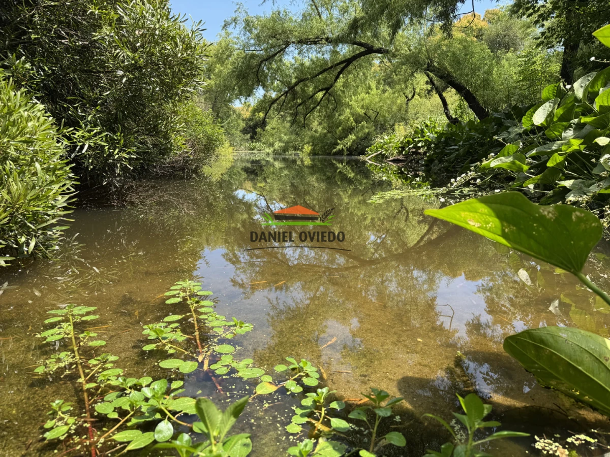 Campo Ref.336/Campo-agr - Campo agrícola de 18,9 hás con renta anual - Nueva Helvecia