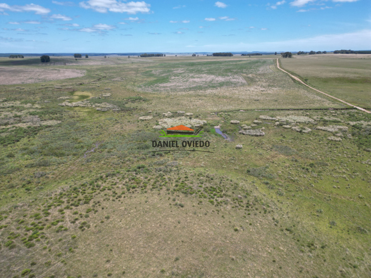 Campo Ref.359/Estancia-de-945-has-en-venta-en-Cerro-Largo. - Estancia de 945 has en venta en Cerro Largo.